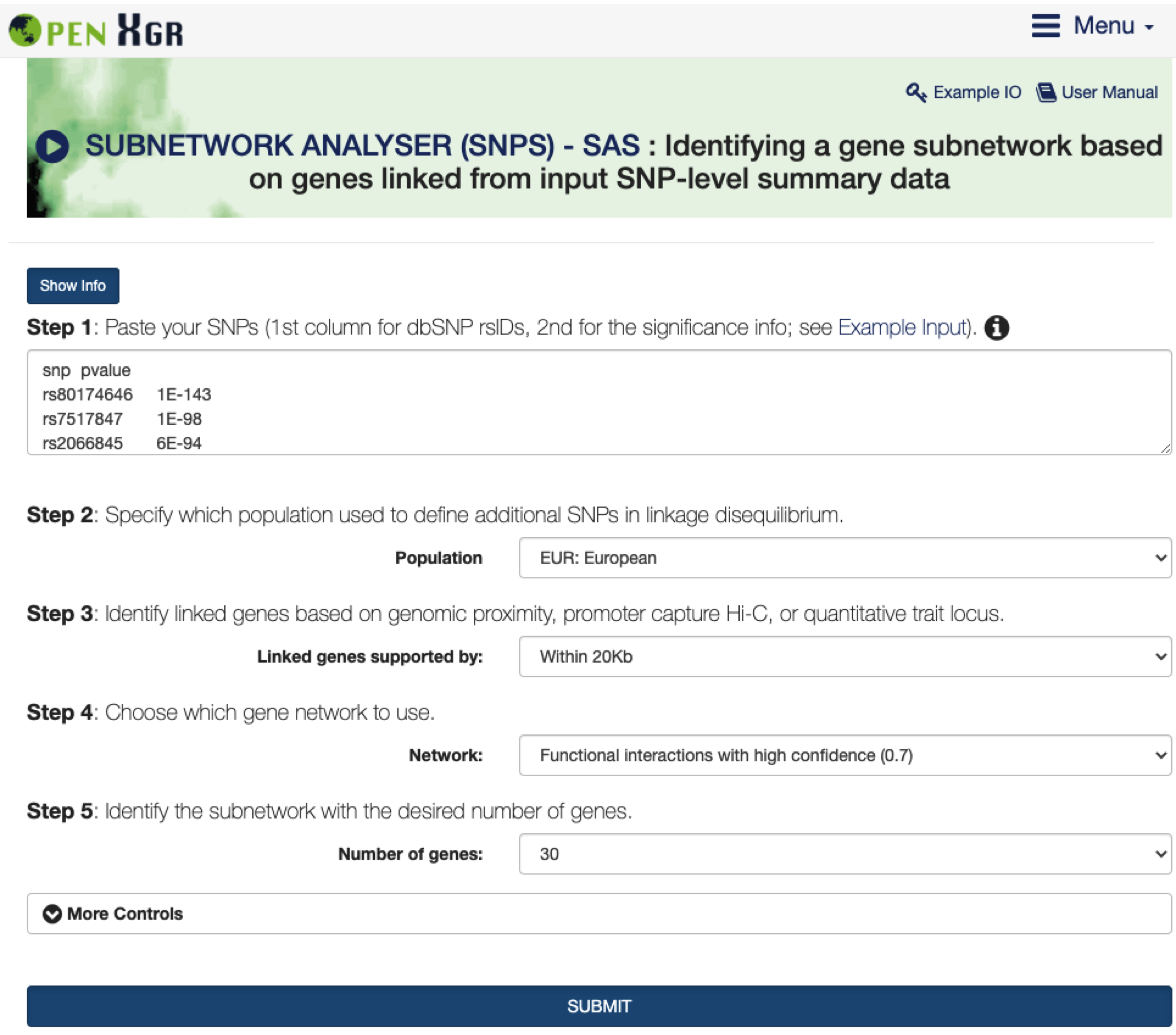 The interface of `SUBNETWORK ANALYSER (SNPS)  - SAS`. The `Show/Hide Info` toggle button contains instructions on how to use the interface, including inputs, outputs, and other relevant information.